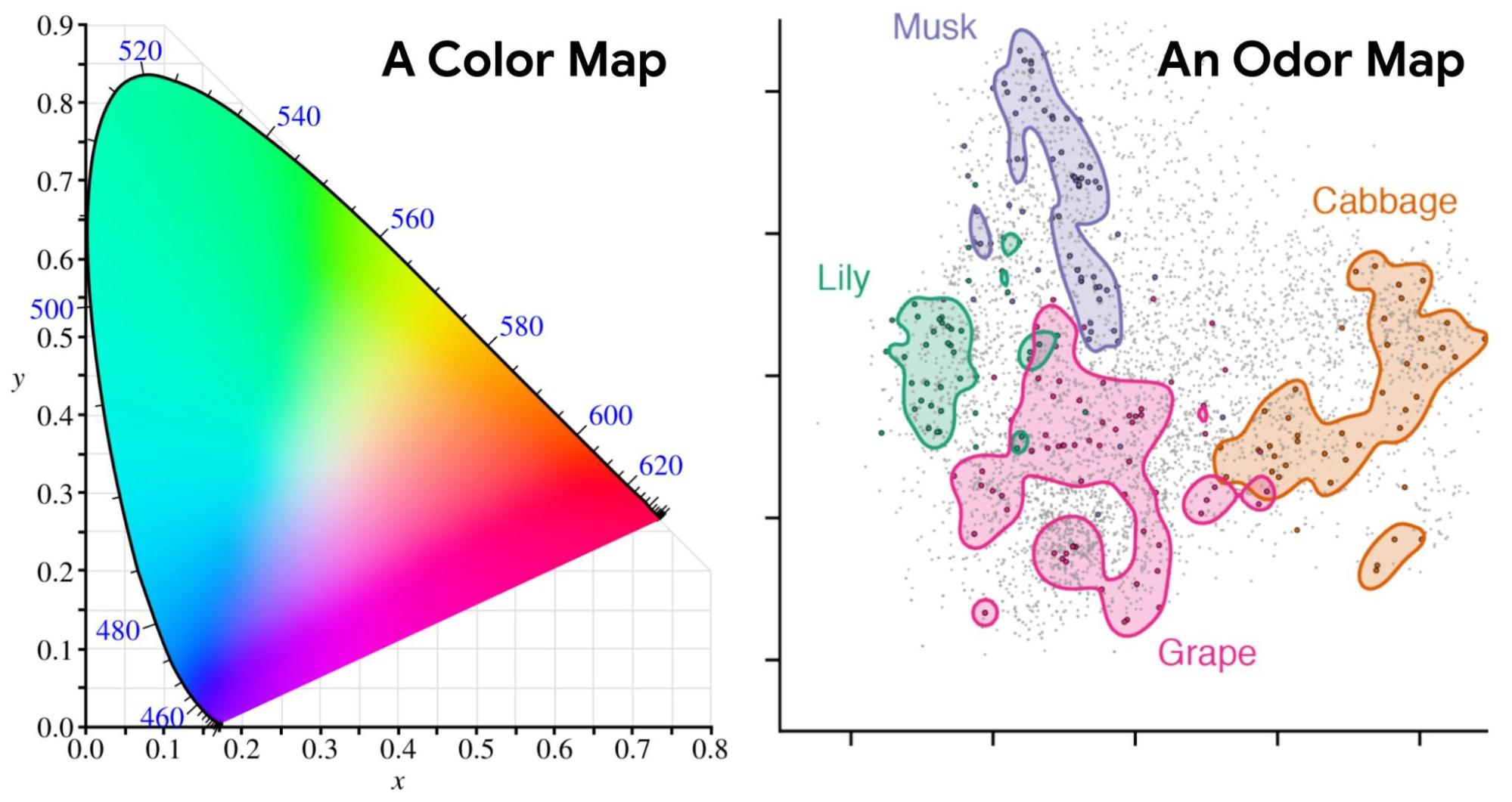  The Principal Odor Map is a map that maps molecules chemical character. Individual molecules locations are determined by their odour, and the locations of these points reflect predictions of their odor character. 